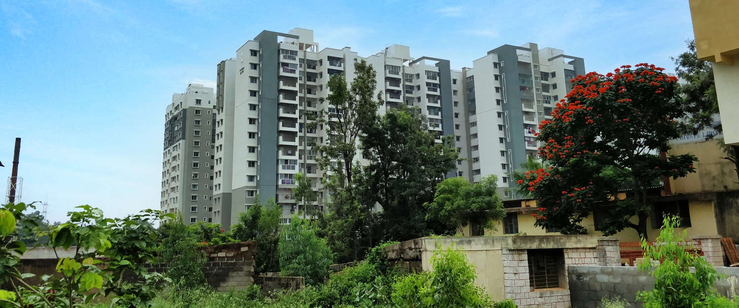 Elevation Image