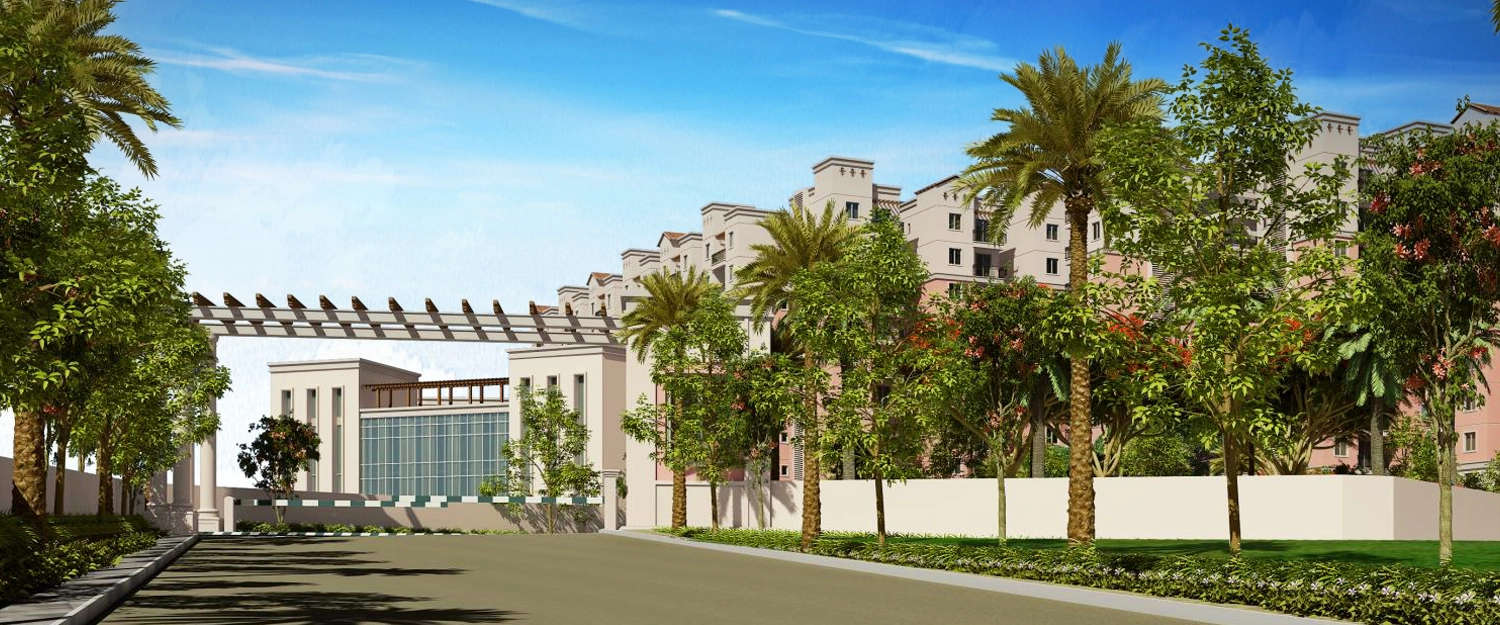 Outdoor Amenities