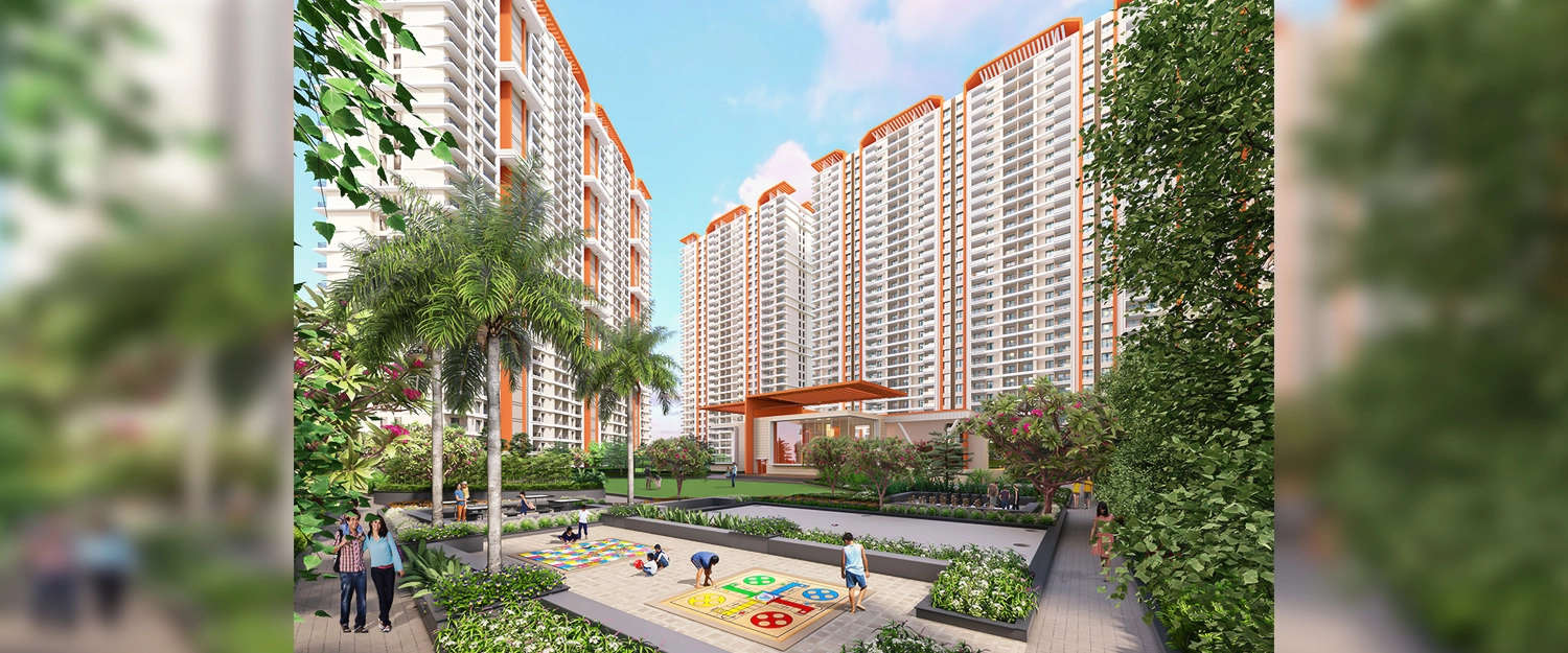 Outdoor Amenities