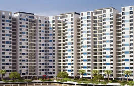 cosmos-classique hilton