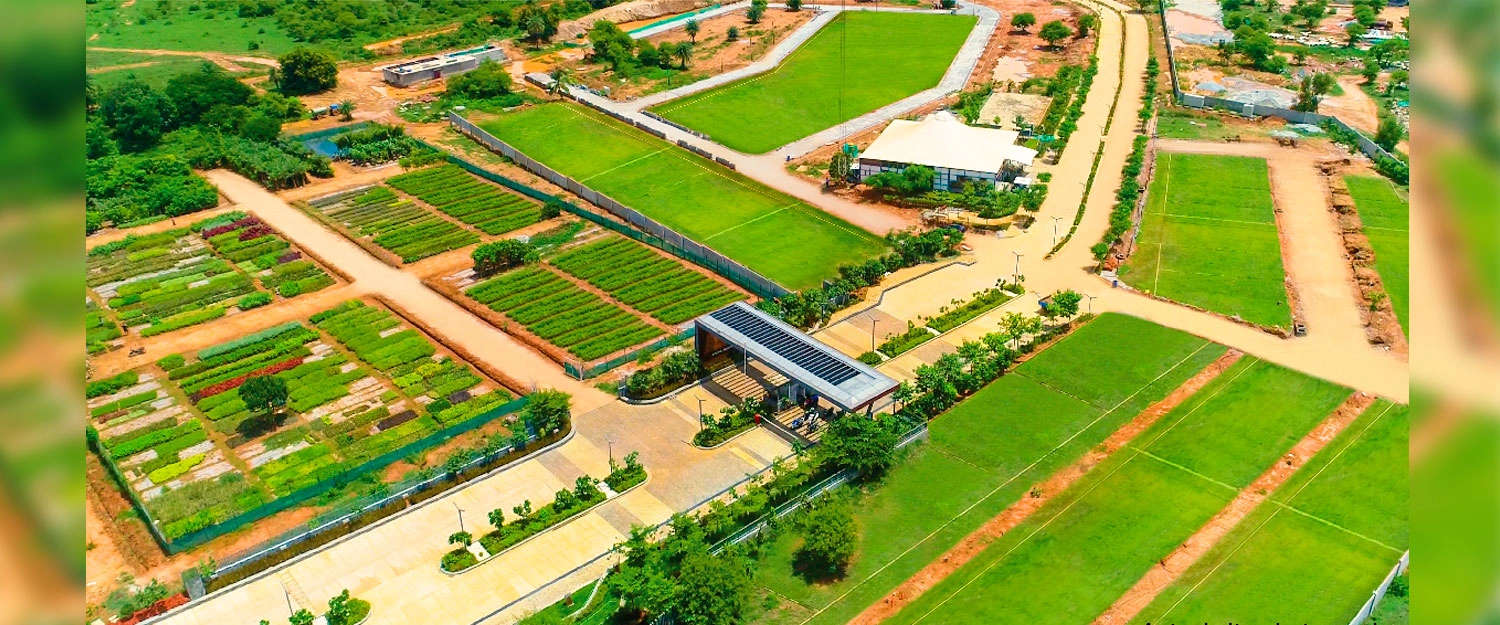 Outdoor Amenities