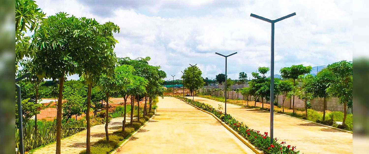 Outdoor Amenities