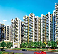 amrapali-terrace homes