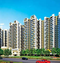 amrapali-terrace homes
