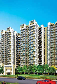 Amrapali Terrace Homes