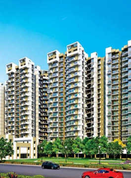 amrapali-terrace homes