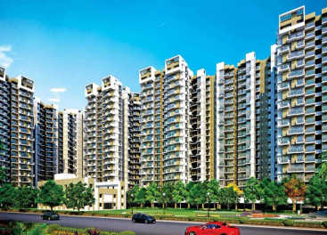 Amrapali Terrace Homes