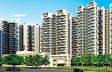 Amrapali Terrace Homes