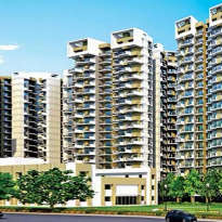 amrapali-terrace homes