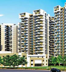 amrapali-terrace homes