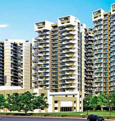 amrapali-terrace homes