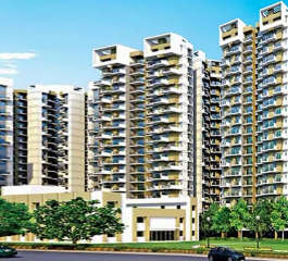 amrapali-terrace homes