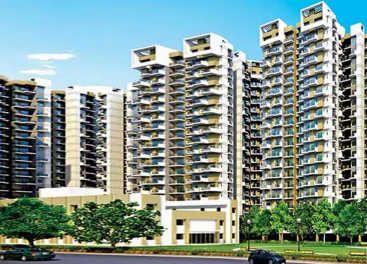 Amrapali Terrace Homes