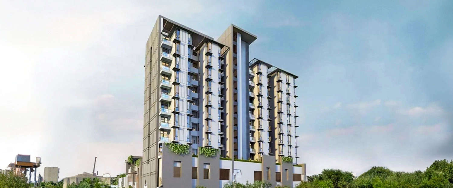 Elevation Image