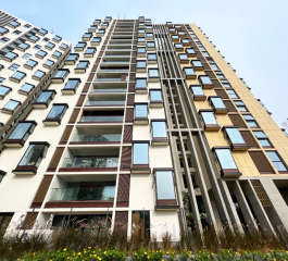 appaswamy-clover by the river