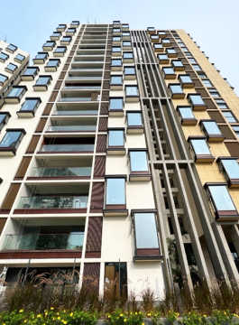 appaswamy-clover by the river