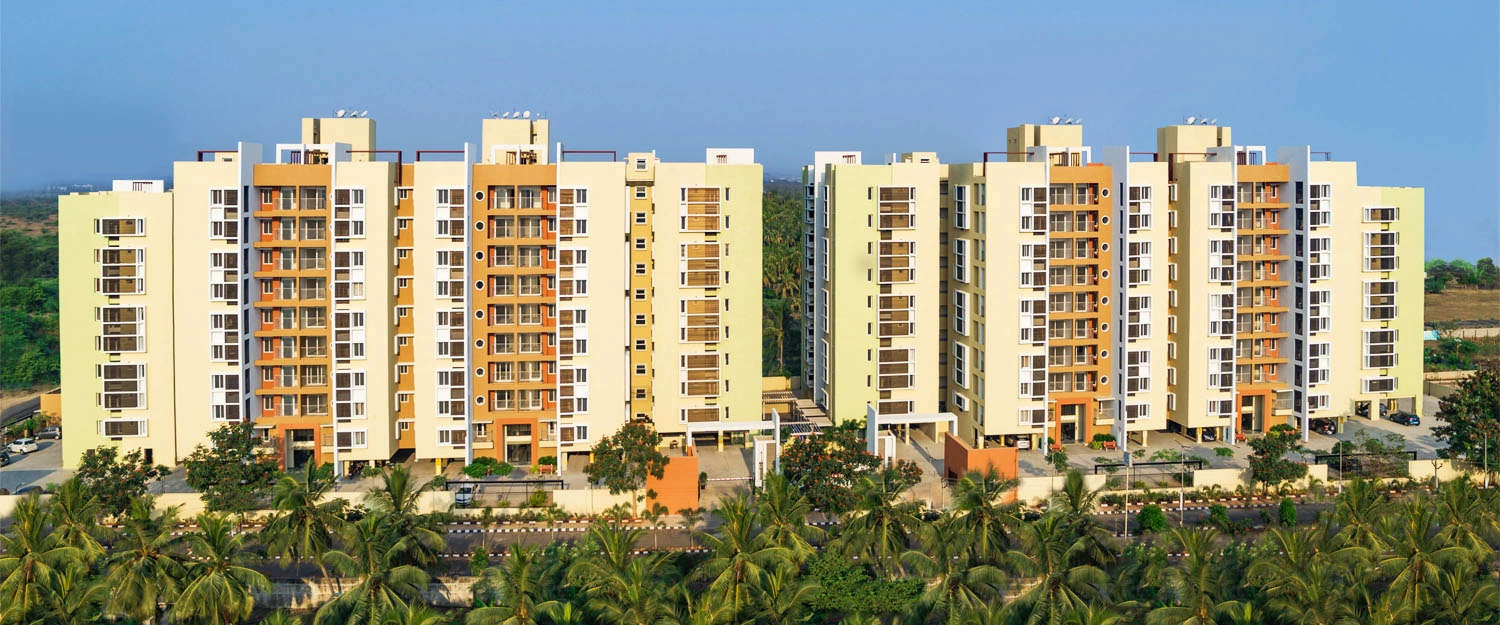 Elevation Image