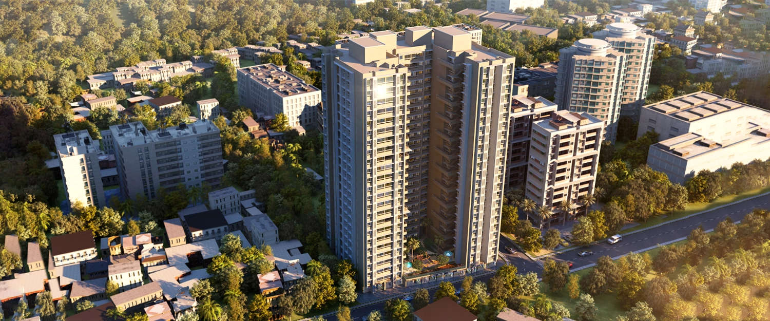 Elevation Image