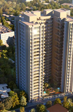 Paradigm Ariana Residency