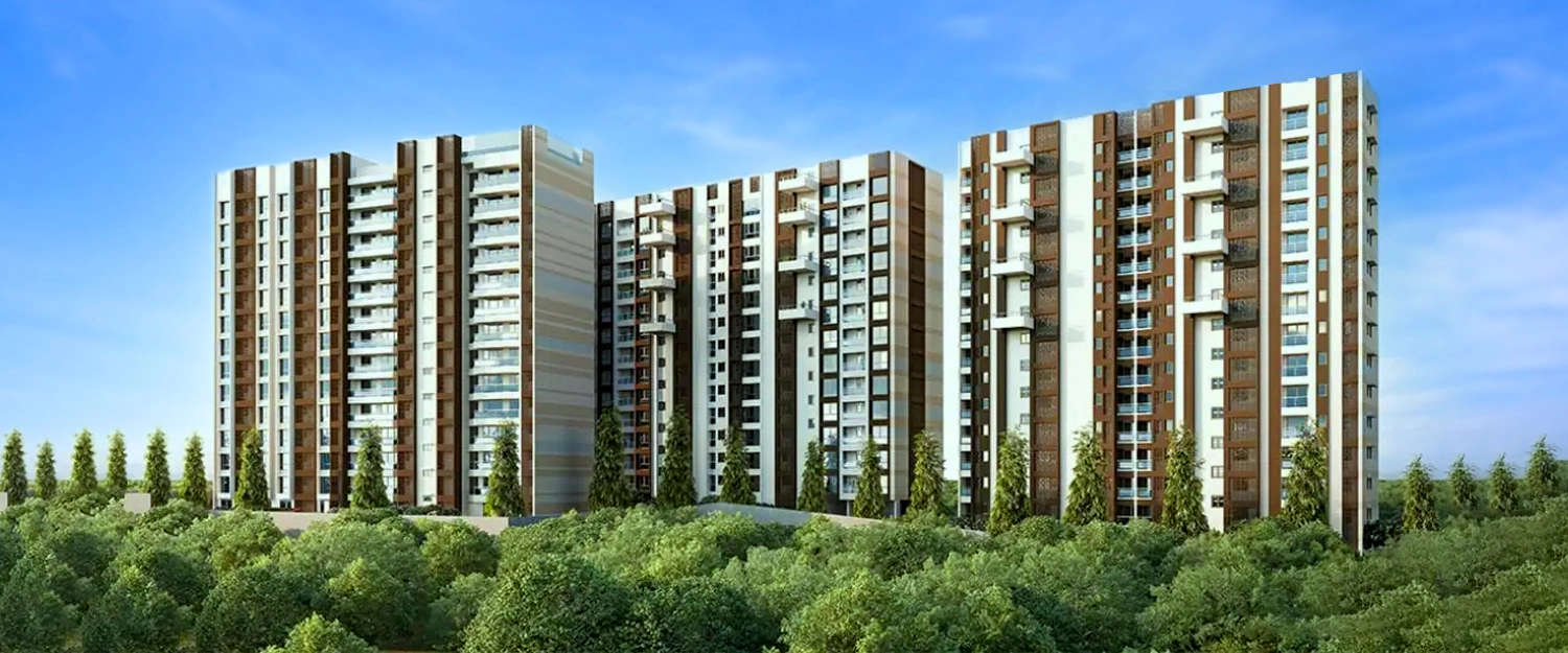 Elevation Image