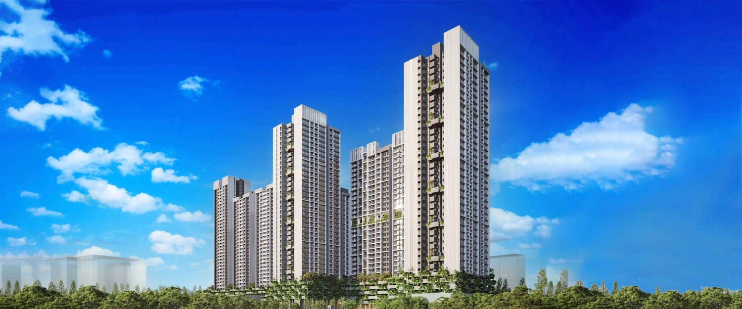 Elevation Image