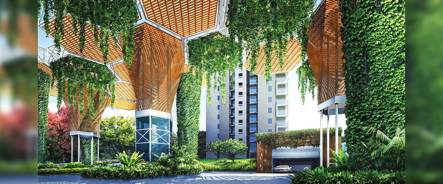 Outdoor Amenities