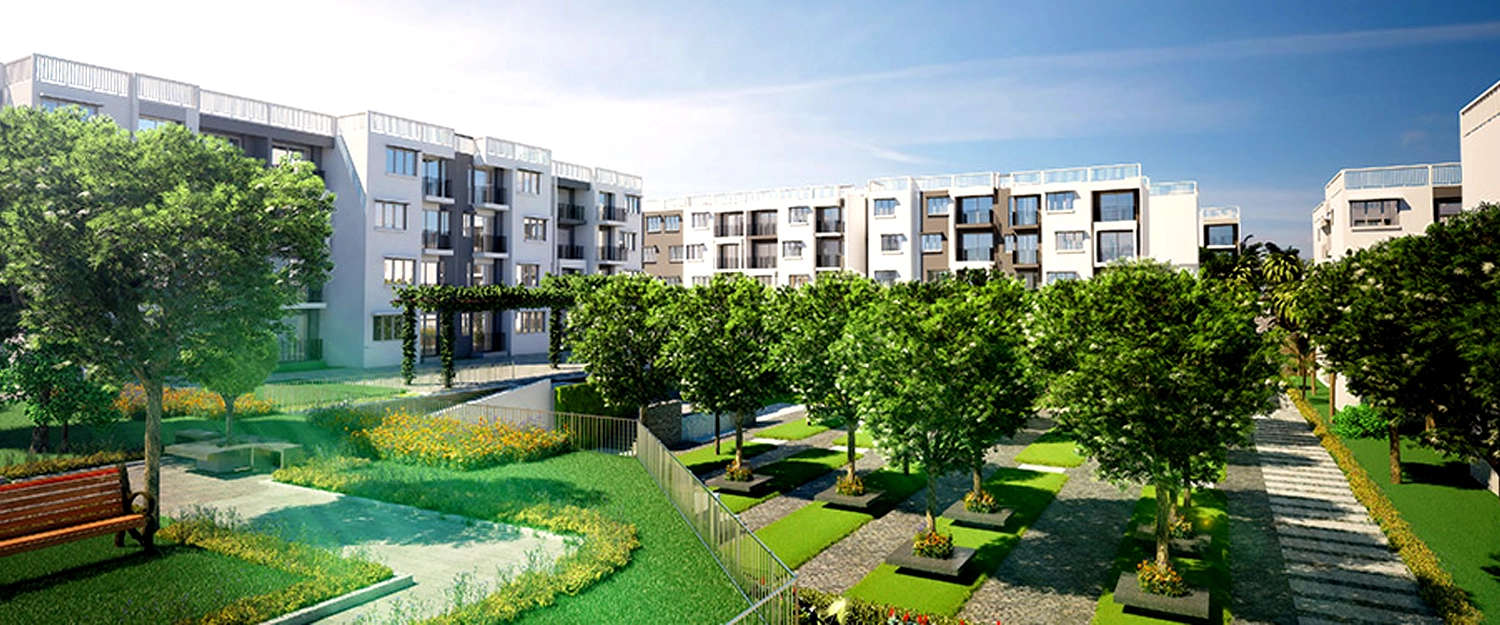 Outdoor Amenities
