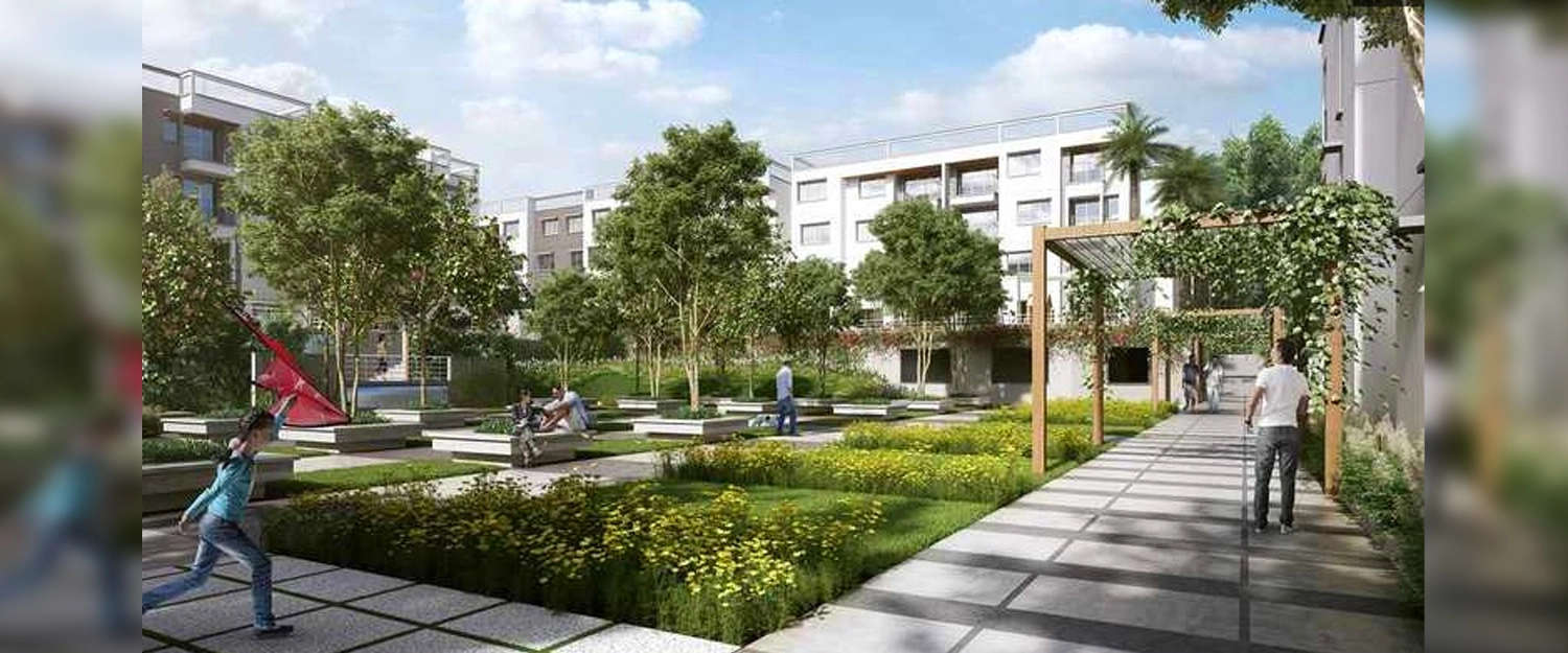 Outdoor Amenities