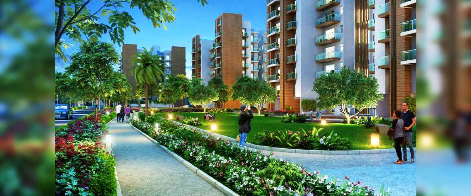 Outdoor Amenities