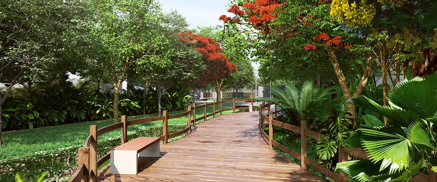 Outdoor Amenities