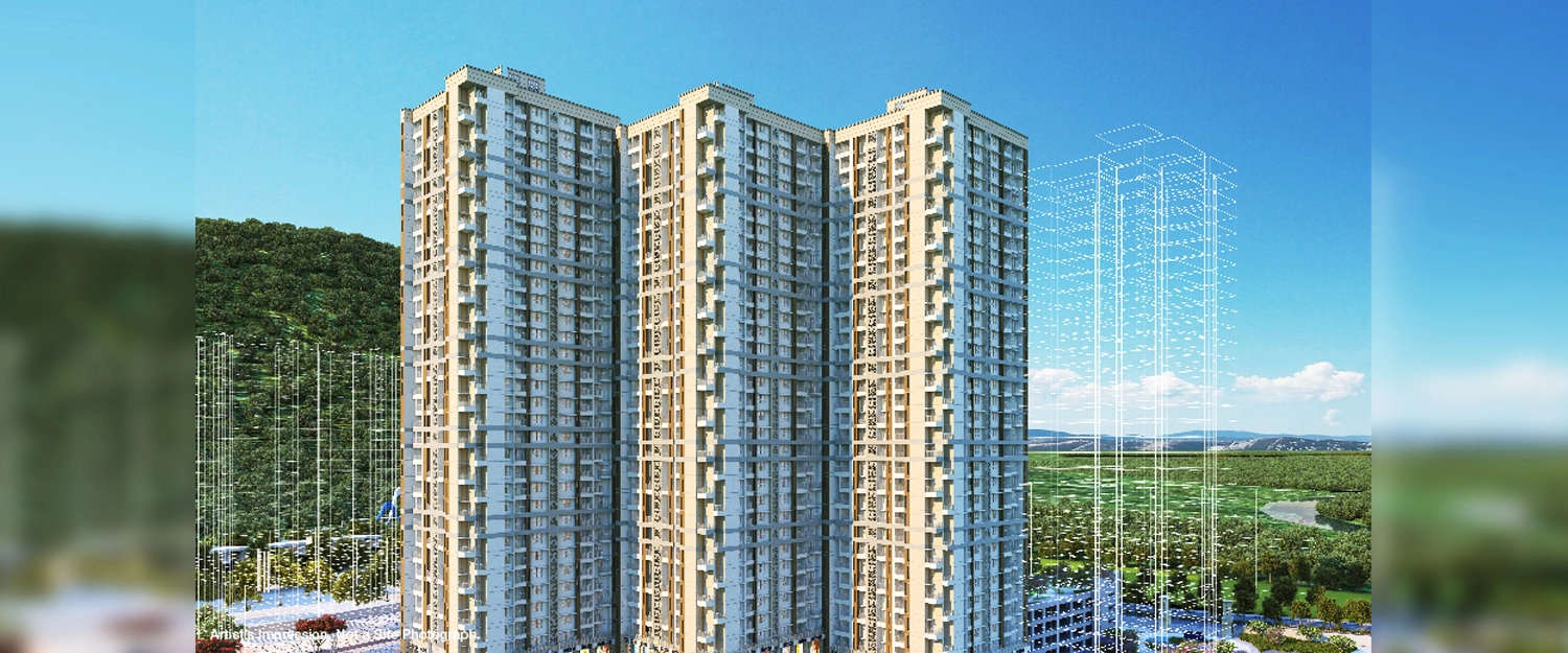 Elevation Image