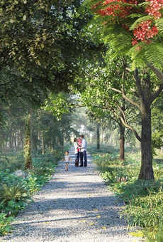 Godrej Woodland