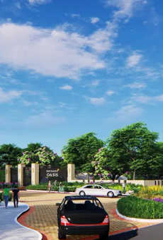 Brigade Oasis