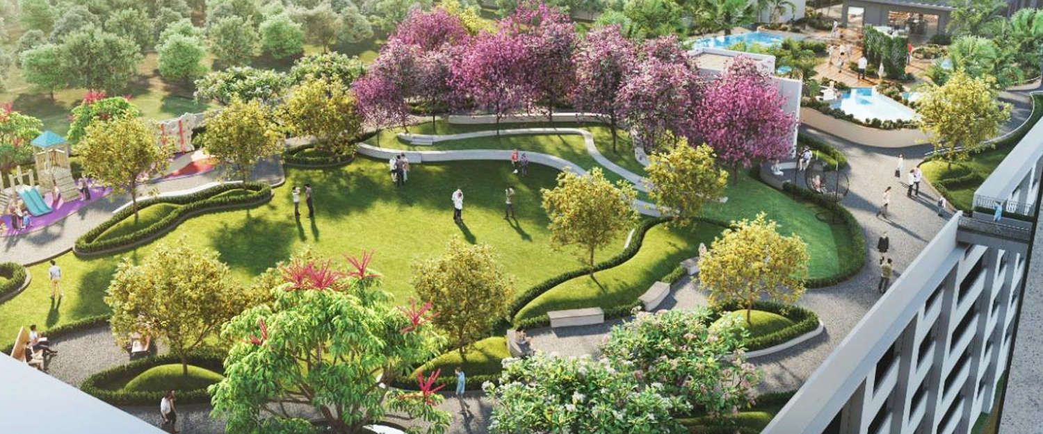 Outdoor Amenities
