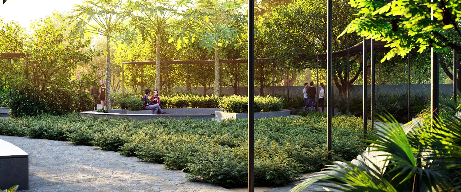 Outdoor Amenities