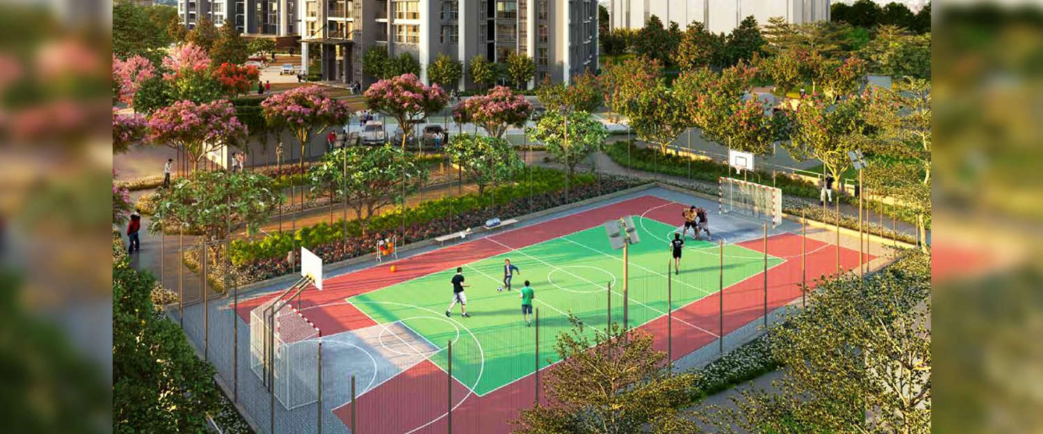 Outdoor Amenities