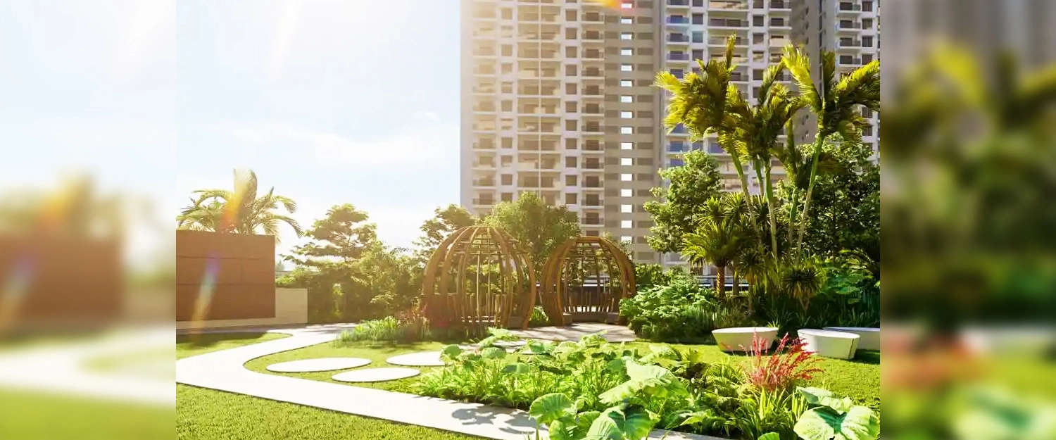 Outdoor Amenities