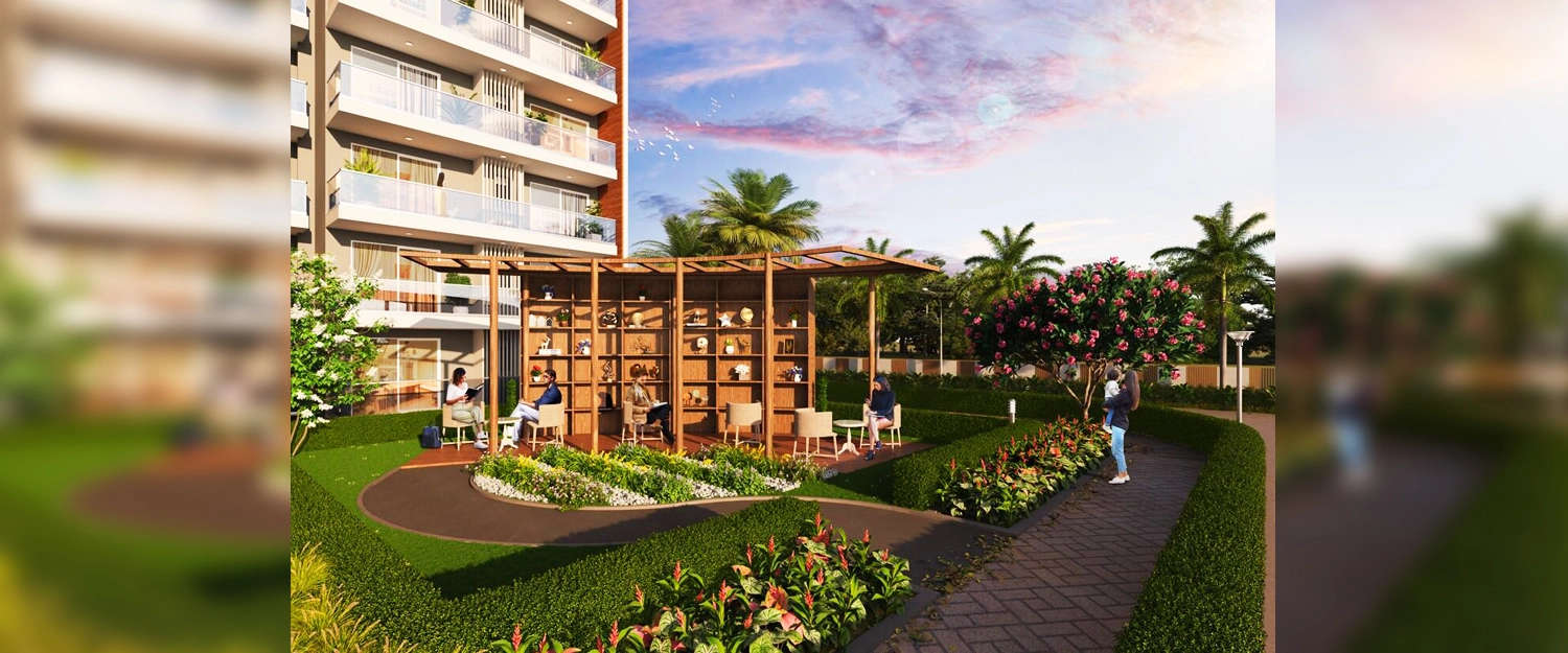 Outdoor Amenities