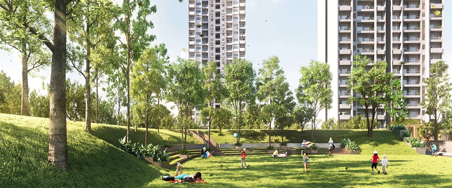Outdoor Amenities