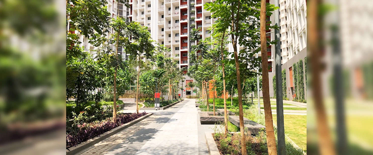 Outdoor Amenities