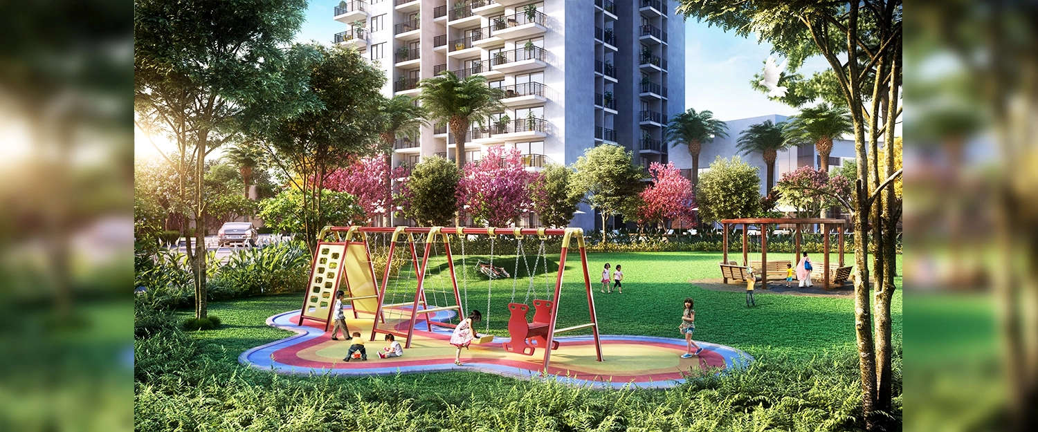 Play Area