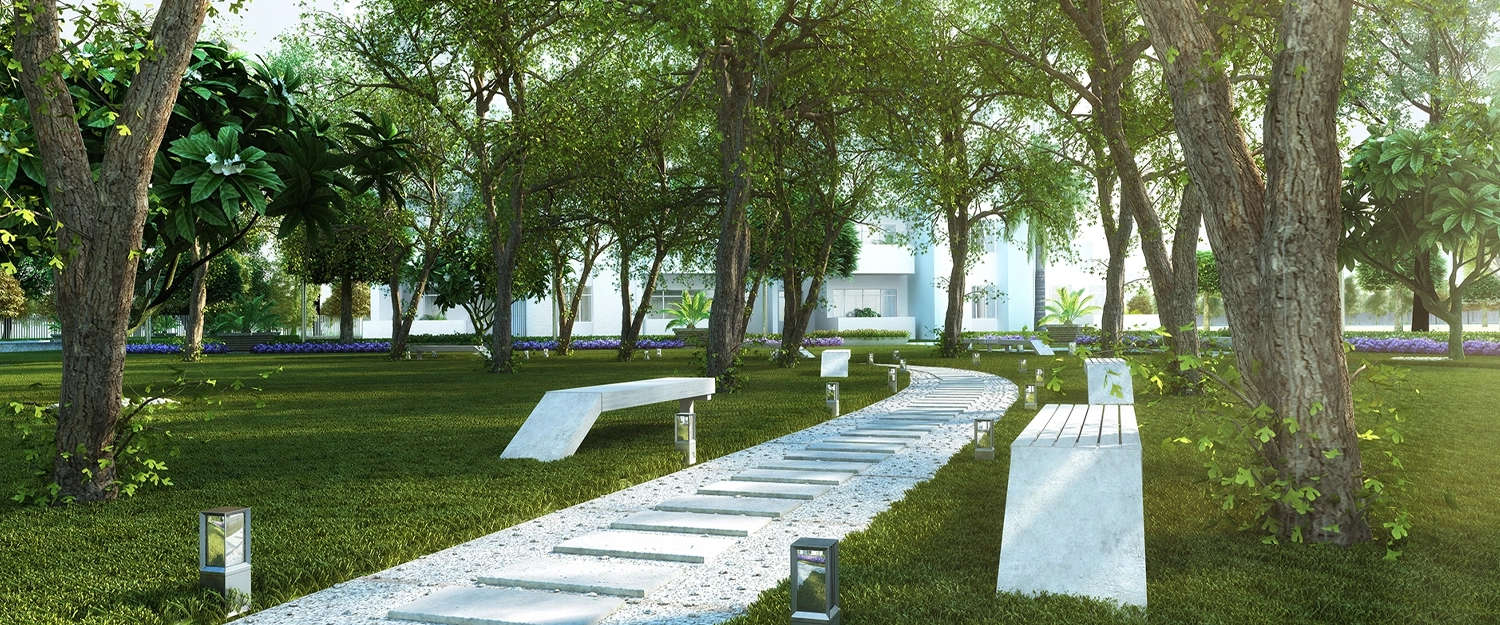 Park