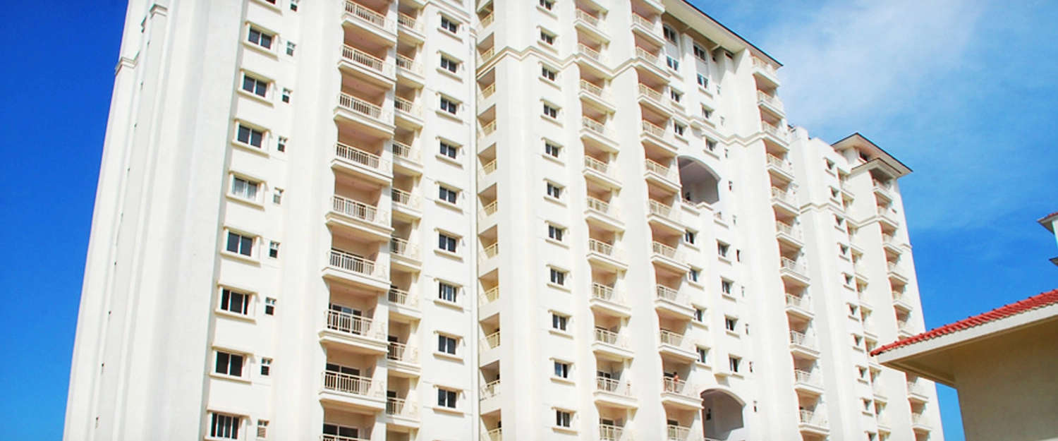 Elevation Image
