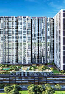 the-exclusif selection