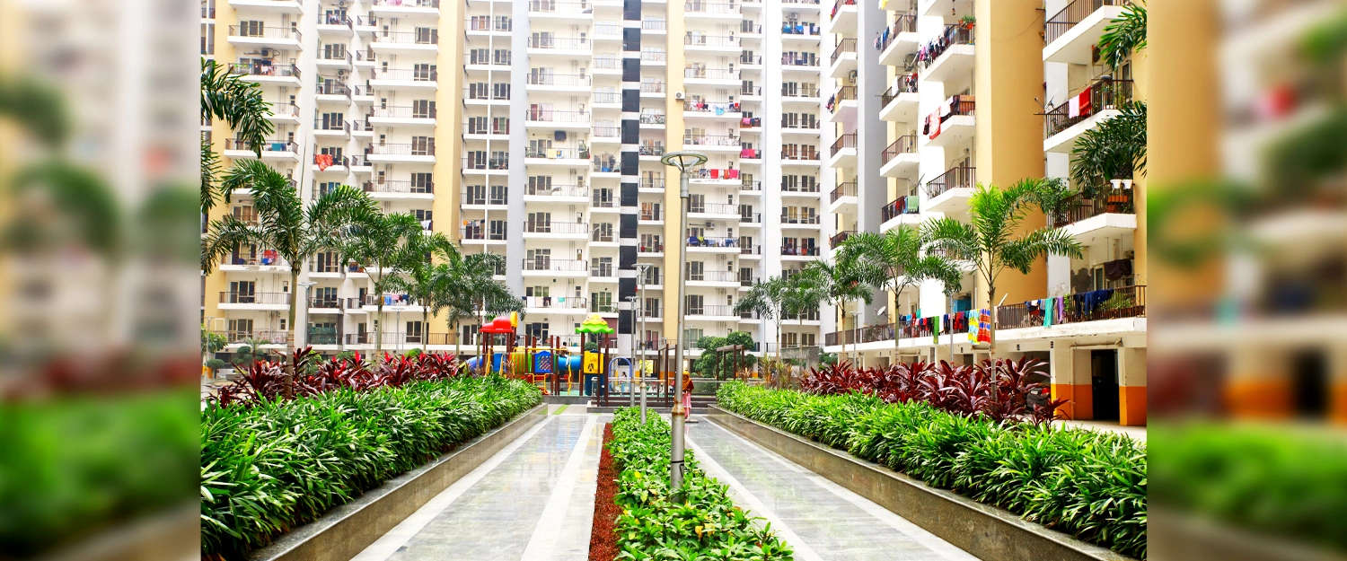 Outdoor Amenities