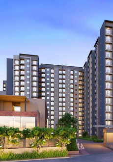 goyal-orchid salisbury