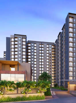 goyal-orchid salisbury