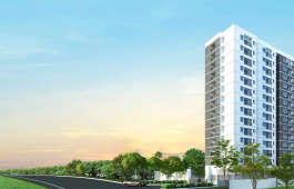 alliance-jasmine springs