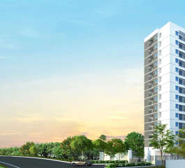 alliance-jasmine springs