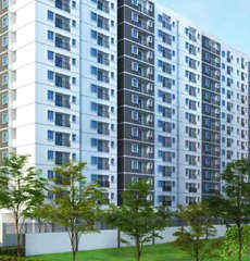 alliance-jasmine springs